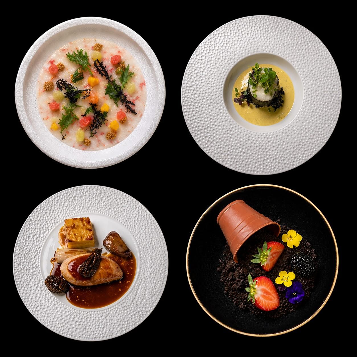 Accueil 10 Verrines et amuse-bouches